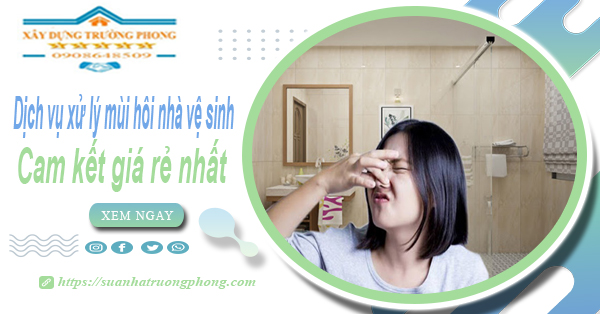 Dịch vụ xử lý mùi hôi nhà vệ sinh - Cam kết giá rẻ nhất